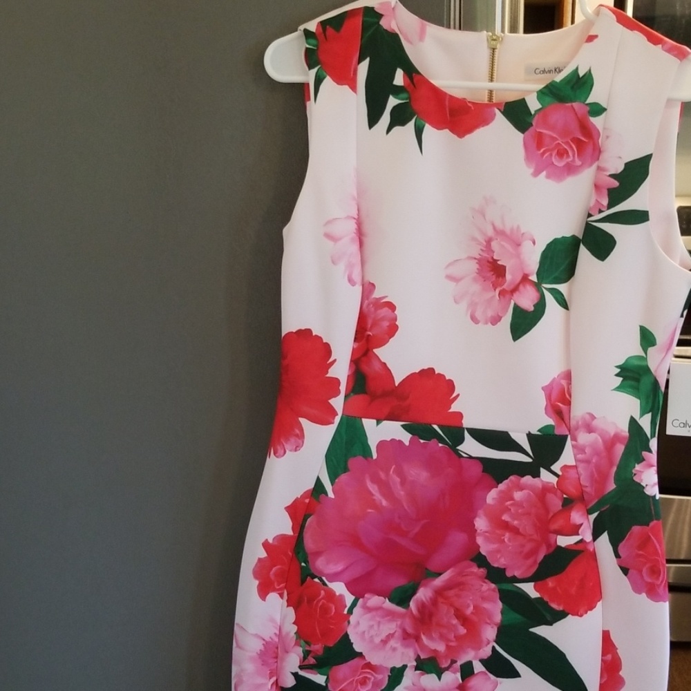 Ladies dress